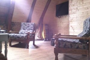 sala de estar con 2 sillas y TV en Maison de montagne en Le Vernet-Sainte-Marguerite