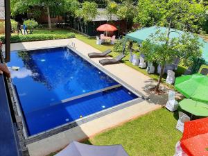 Piscina di Honey Tree Polonnaruwa o nelle vicinanze