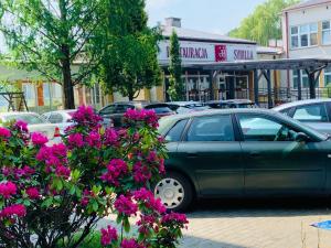Fotografie z fotogalerie ubytování Hotel Sybilla v destinaci Puławy + 37 fotografií