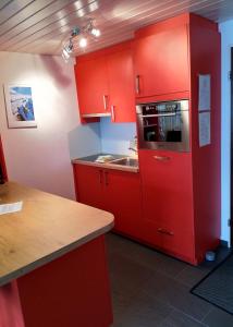 czerwona kuchnia ze zlewem i czerwoną lodówką w obiekcie Haus Opal,Wohnung Nr.25 w mieście Grächen