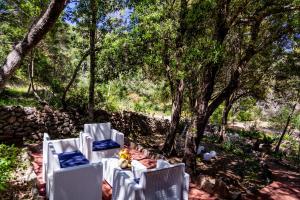 A garden outside Casa Saltara