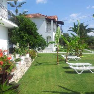 A garden outside Akropolis studios