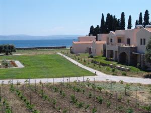 a view of a villa with a vineyard at Enalia Gi in Límni