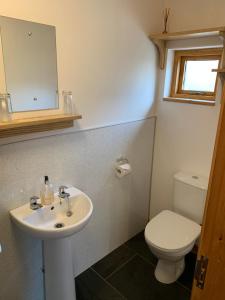 a bathroom with a sink and a toilet at Old Skool Accommodation in Trawsfynydd