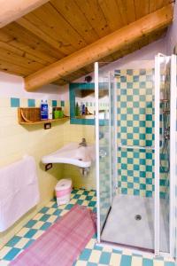 a bathroom with a shower and a sink at Agriturismo Casa Essenia in Condino