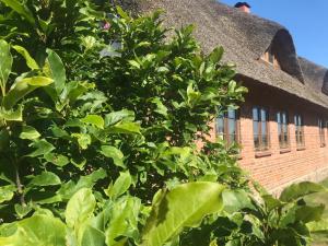 a brick building with a tree in front of it at Ferienwohnung Familie Manthei in Boitin Resdorf