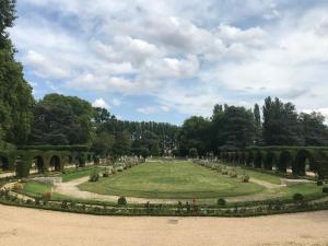a view of a garden with a large lawn at Sweet Discovery & Jungle in Bourges