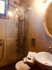 y baño con lavabo y ducha. en Hotel Olympic, en Metsovo