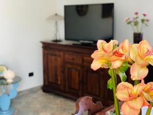 A television and/or entertainment centre at Ambrosia
