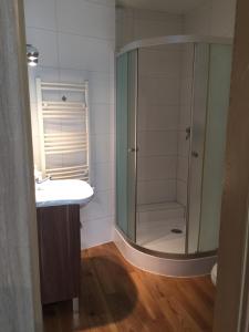 a bathroom with a shower and a sink and a mirror at Kwatera Pod Bukowa Gora in Zwierzyniec