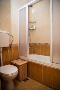a bathroom with a toilet and a shower at The Temple bells, flat in the heart of the city in Dušanovac (historical)