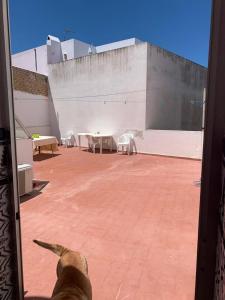 Fotografia z galérie ubytovania CASA VACACIONAL CONIL v destinácii Conil de la Frontera