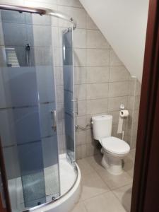 クドヴァ・ズドゥルイにあるPokoje gościnne Alicjaのバスルーム(トイレ、ガラス張りのシャワー付)