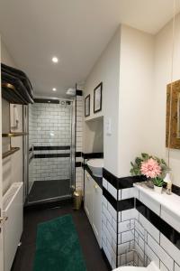 a bathroom with a shower and a sink and a toilet at Forge House in Wallingford