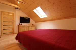 Apartmán Sebina في Drnholec: غرفة نوم بسرير احمر وتلفزيون