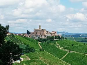 un castillo en la cima de una colina con viñedos verdes en A Vijeta en Castiglione Falletto