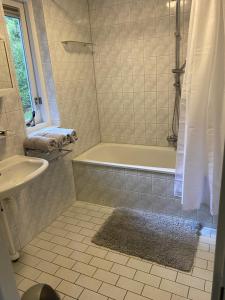 a bathroom with a shower and a tub and a sink at Huize Nuwenspete in Nunspeet