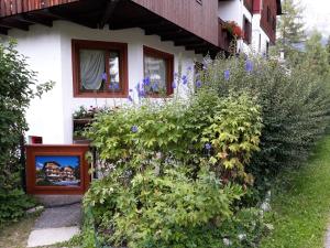 Zahrada ubytování Hotel Principe