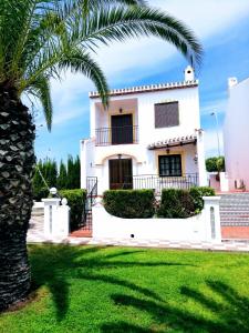 een wit huis met een palmboom op de voorgrond bij Bungalow de vacaciones in Torrevieja