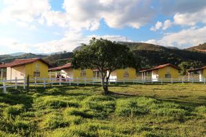 un árbol en un campo frente a una casa en Hotel Fazenda Pé da Serra, en Bom Sucesso