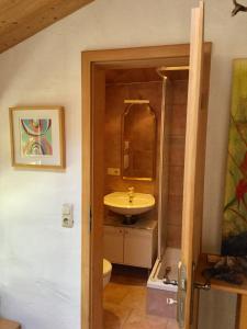 a bathroom with a sink and a mirror at Idylle II an der Donau in Pentling