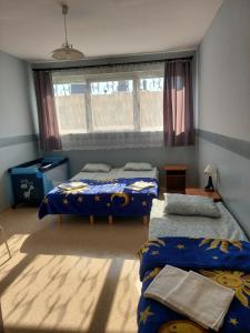 Llit o llits en una habitació de Ośrodek Wczasowo - Kolonijny Słoneczko