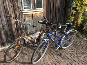 dos bicicletas estacionadas frente a una puerta de madera en Idylle II an der Donau, en Pentling