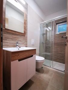 La salle de bains est pourvue d'un lavabo, de toilettes et d'une douche. dans l'établissement Apartments and Rooms Ventura, à Tribanj-Krušćica