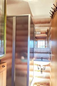 a bathroom with a sink and a shower at Crni in Drenje