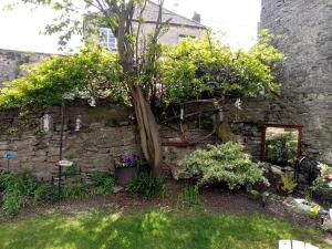 A garden outside The Dante Arms 