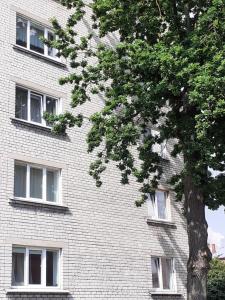 een wit bakstenen gebouw met een boom ervoor bij Beachside Oak Studio in Liepāja