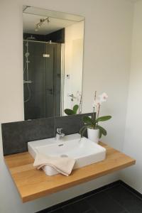 y baño con lavabo blanco y espejo. en Frankenwald Chalets - Ferienhaus Hans en Wilhelmsthal