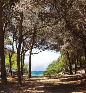 
a wooded area with trees and a lake at Appartamenti Rivabella D in Gallipoli
