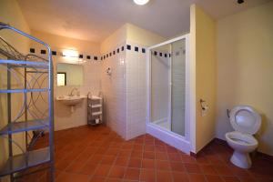 a bathroom with a shower and a toilet and a sink at I Fioretti in Canari