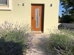 Zahrada ubytování Villa Sol
