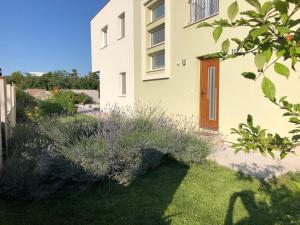 Zahrada ubytování Villa Sol