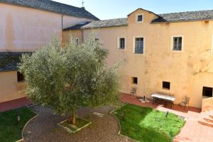 a tree in the courtyard of a building at I Fioretti in Canari