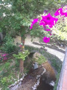 Vonkajšia záhrada v ubytovaní River house_Casa junto al río
