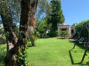 a yard with a tree and a swing at Villino Eleonora in Parghelia