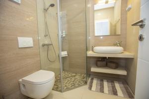 a bathroom with a shower and a toilet and a sink at Mayana in Cesarica +57 photos