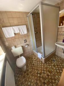 een badkamer met een toilet en een douche bij Hotel-Gasthof "Alter Ritter" in Rothenburg ob der Tauber