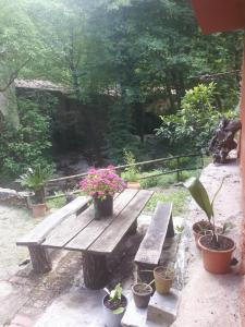 Vonkajšia záhrada v ubytovaní River house_Casa junto al río