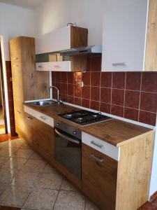 Il comprend une cuisine équipée d'un évier et d'une cuisinière. four supérieur dans l'établissement Apartment Plavia Biograd, à Biograd na Moru