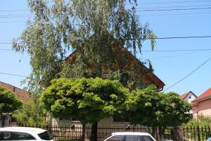 Fotografia z galérie ubytovania Illés Apartman v Siófoku