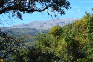 vistas a una montaña a través de los árboles en Hotel Restaurante Bandolero, en Júzcar