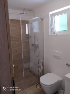 a bathroom with a toilet and a glass shower at Apartment Bruno in Mali Lošinj +27 photos