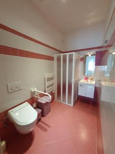 een badkamer met een toilet, een wastafel en een douche bij Al Pozzo in Negrar