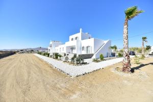 a white house with a palm tree and a dirt road at Phoenix studios in Mikonos
