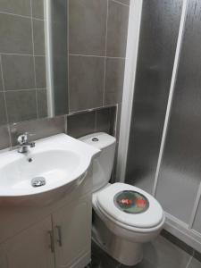 um banheiro com um vaso sanitrio branco e uma pia em Casa Porta de Santiago em Pinhel mais 25 fotografias