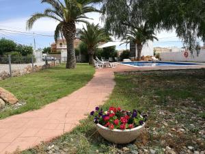 Vonkajšia záhrada v ubytovaní Hotel Plaza Miami - Sólo Adultos